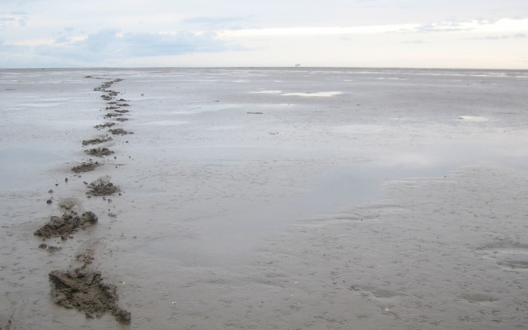 Liverpool’s Gobi Desert — Part 2