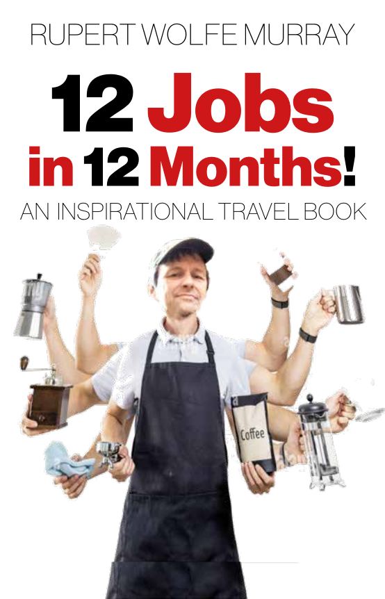 12 Jobs in 12 Months